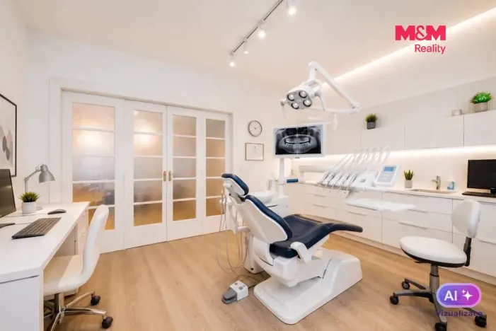 Prodej rodinného domu, Přerov - Přerov I-Město, Nerudova, 294 m2