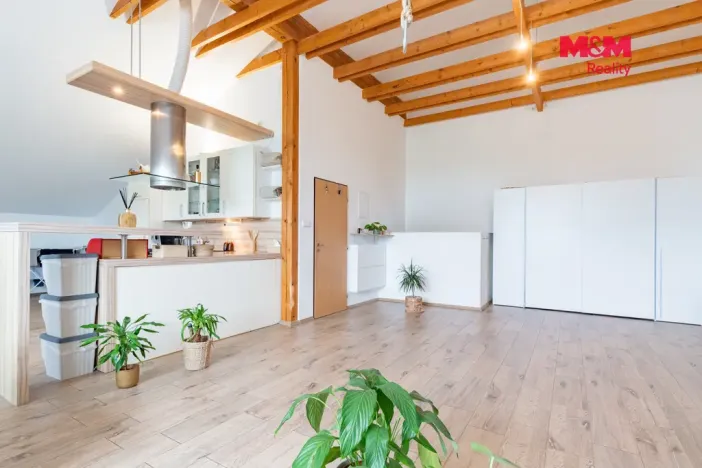 Pronájem bytu 3+kk, Františkovy Lázně - Dlouhé Mosty, 128 m2