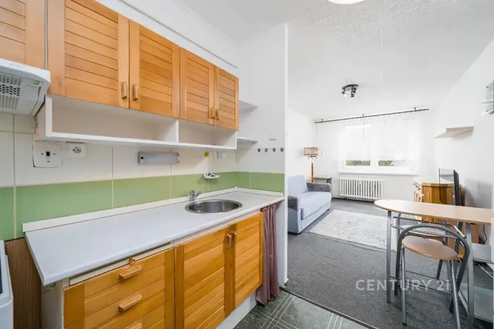 Prodej bytu 2+kk, Teplice, V závětří, 41 m2