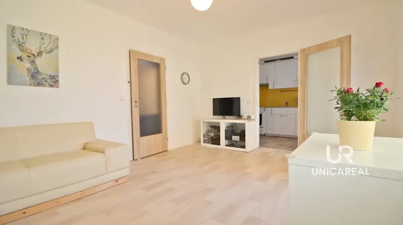 Prodej bytu 1+1, Brno - Bohunice, Švermova, 42 m2