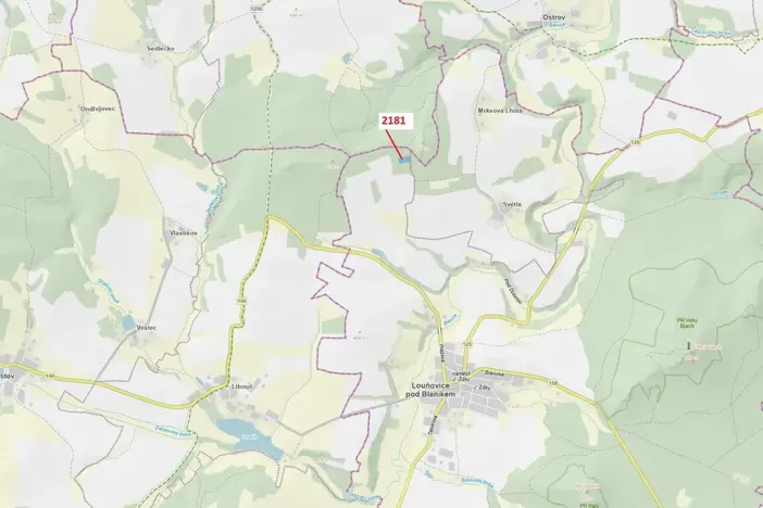 Dražba lesa, Louňovice pod Blaníkem, 4236 m2
