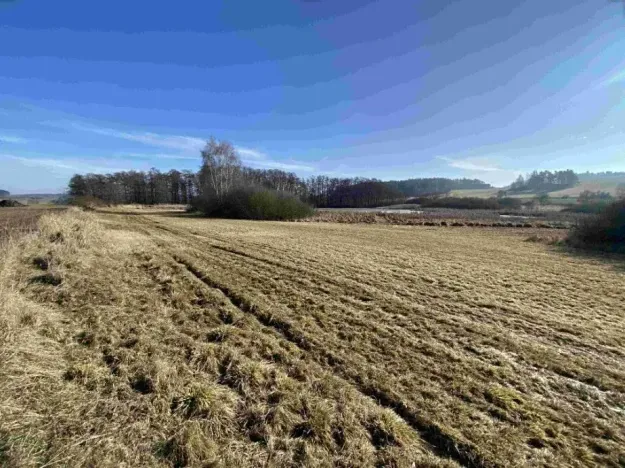 Dražba louky, Kváskovice, 10470 m2