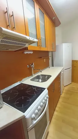 Prodej bytu 3+kk, Opava, Krnovská, 59 m2