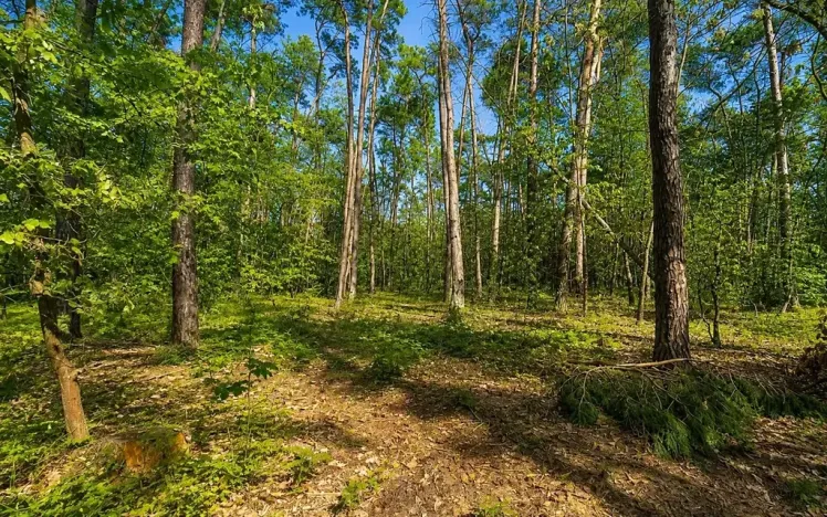 Prodej pozemku pro bydlení, Hradištko, Kersko, 4428 m2