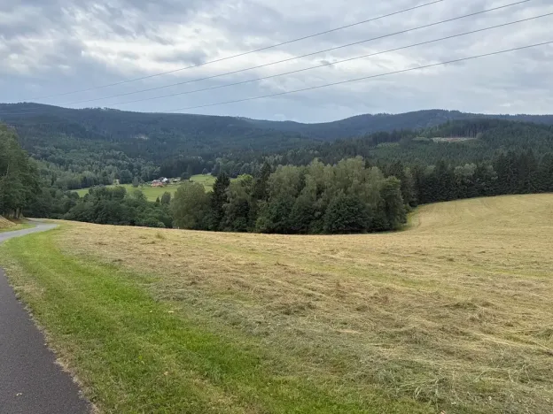 Prodej louky, Hamry, 84928 m2