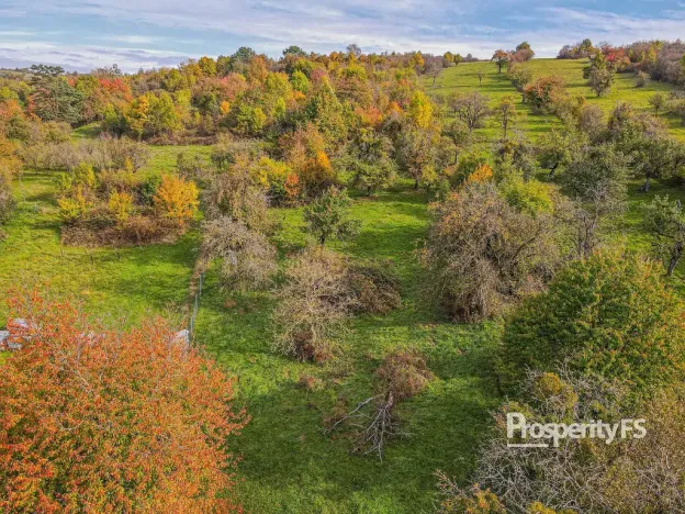 Prodej pozemku, Jankovice, 10000 m2