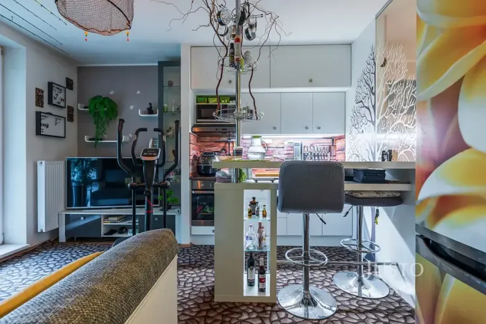 Prodej bytu 1+kk, Šakvice, Hlavní, 31 m2