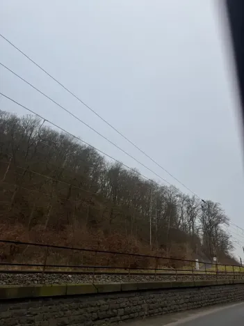 Prodej lesa, Ústí nad Labem, 36788 m2