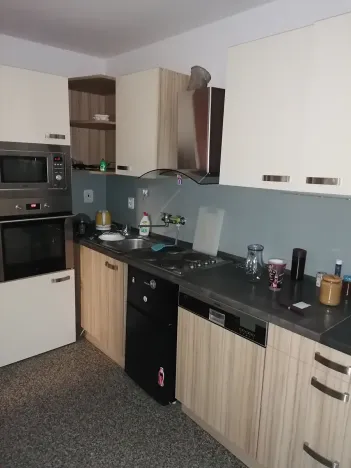 Pronájem bytu 1+kk, Prostějov, Krasická, 39 m2