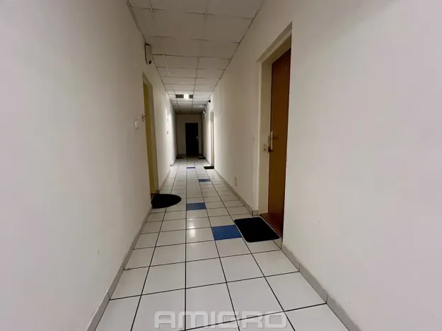 Pronájem bytu 1+kk, Brno, Božetěchova, 32 m2