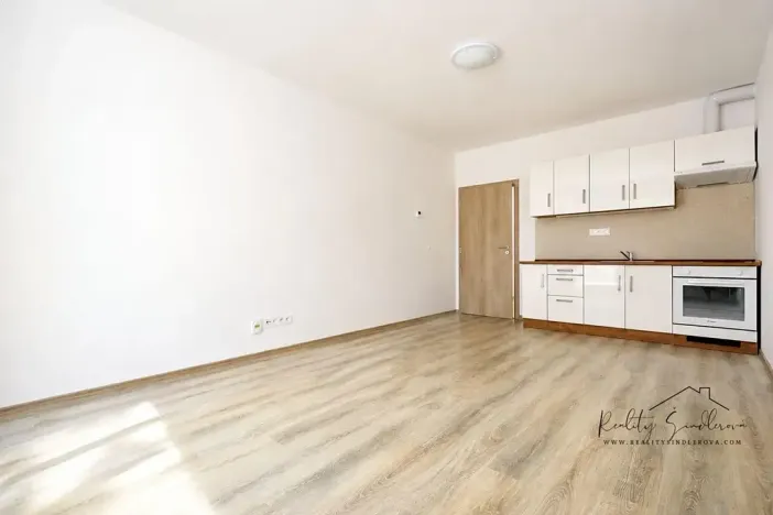 Pronájem bytu 1+kk, Olomouc, Frištenského, 32 m2
