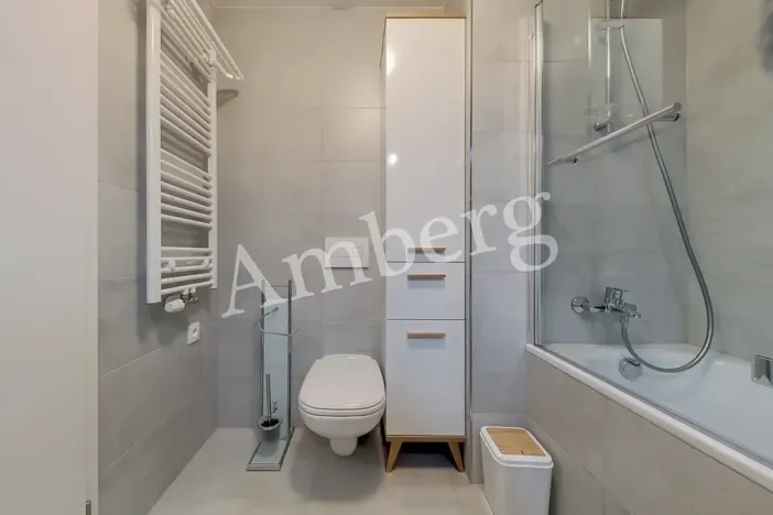 Pronájem bytu 1+kk, Praha - Karlín, Breitfeldova, 38 m2