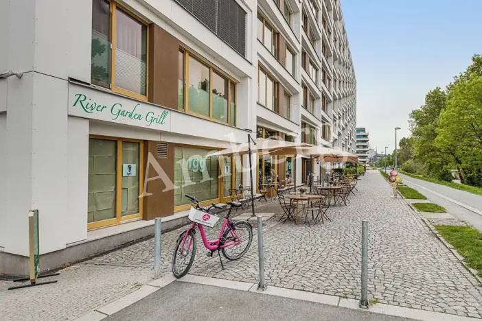 Pronájem bytu 1+kk, Praha - Karlín, Breitfeldova, 38 m2