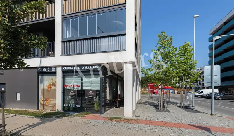 Prodej bytu 2+kk, Praha - Žižkov, Na Vackově, 53 m2