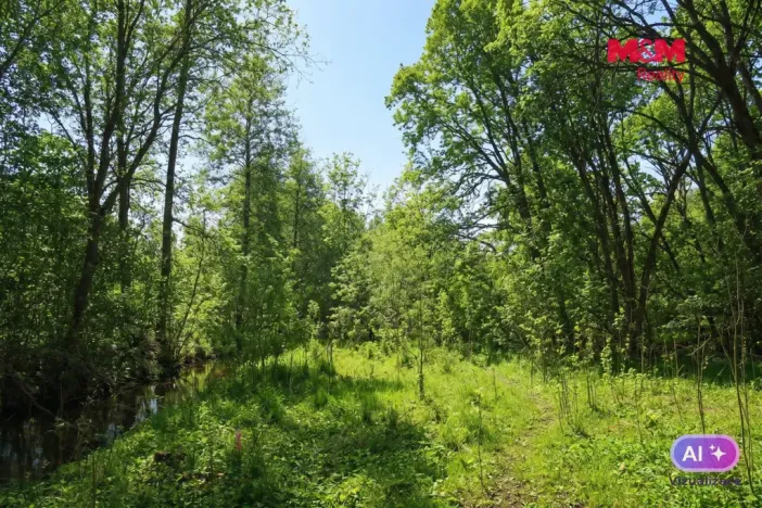 Prodej lesa, Snědovice - Střížovice, 2037 m2