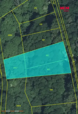 Prodej lesa, Snědovice - Střížovice, 2037 m2