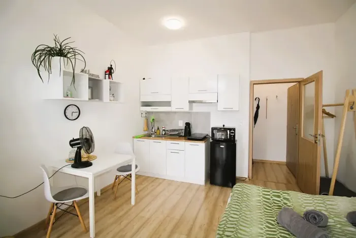 Pronájem bytu 1+kk, Brno, Vlhká, 21 m2