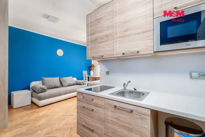 Prodej bytu 1+kk, Ústí nad Labem - Bukov, Školní, 19 m2