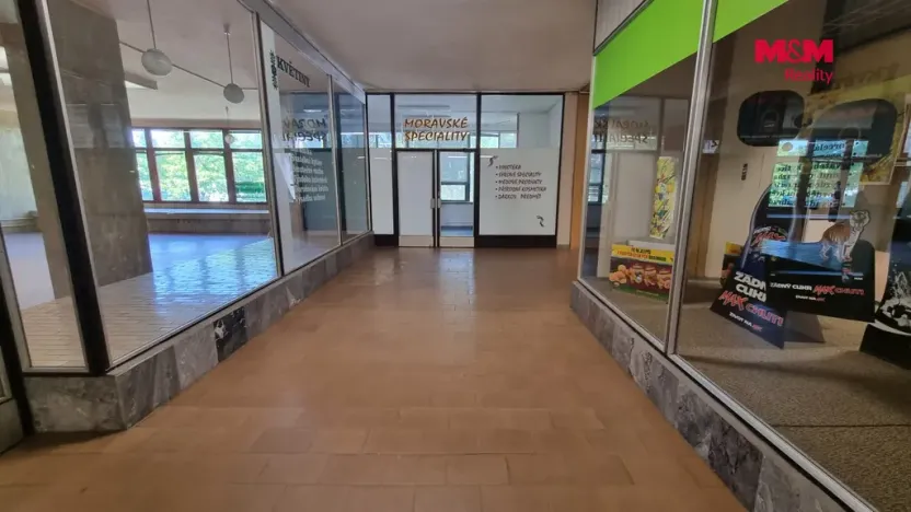 Pronájem kanceláře, Orlová - Lutyně, F. S. Tůmy, 21 m2