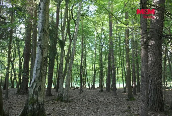 Prodej lesa, Chyňava - Lhotka u Berouna, 7138 m2
