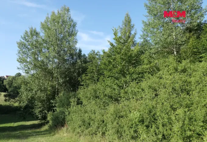 Prodej lesa, Chyňava - Lhotka u Berouna, 7138 m2