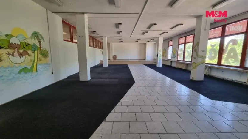 Pronájem obchodního prostoru, Orlová - Lutyně, F. S. Tůmy, 270 m2