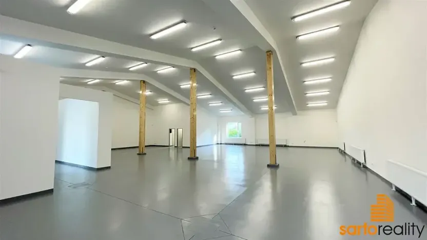 Pronájem obchodního prostoru, Ústí nad Labem, Žižkova, 420 m2