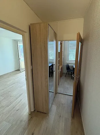 Pronájem bytu 1+1, Židlochovice, sídl. Družba, 34 m2