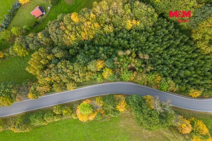 Prodej lesa, Kosov, 467 m2