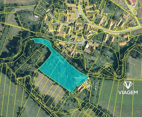 Prodej podílu lesa, Chroustovice, 1085 m2
