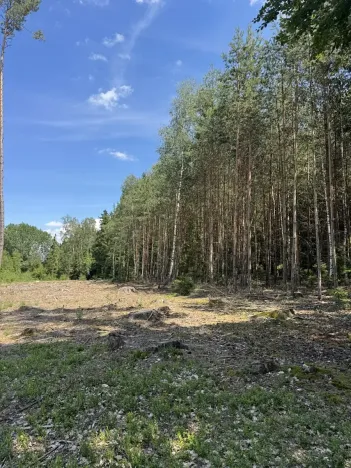 Prodej podílu lesa, Zádolí, 12979 m2