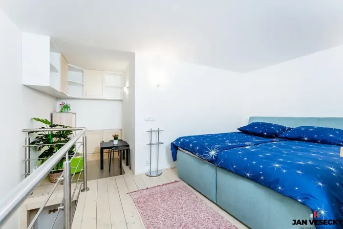 Prodej bytu 1+kk, Praha - Nové Město, Štěpánská, 39 m2