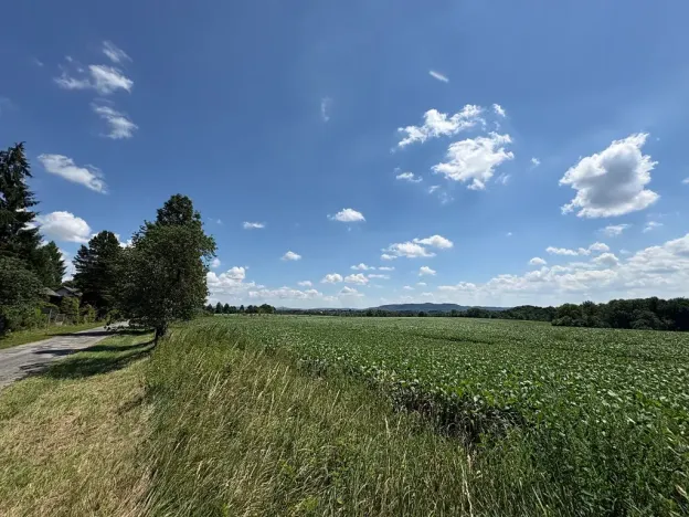 Prodej pozemku pro bydlení, Chocnějovice, 5604 m2