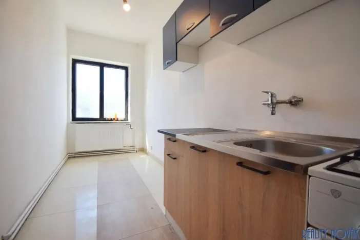 Pronájem bytu 1+1, Ústí nad Labem - Krásné Březno, Drážďanská, 42 m2