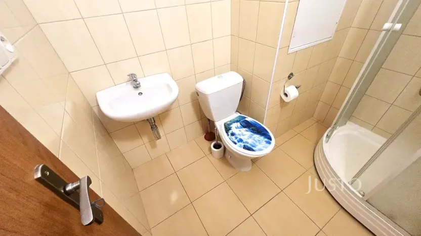 Pronájem bytu 1+1, Písek, nábřeží 1. máje, 42 m2
