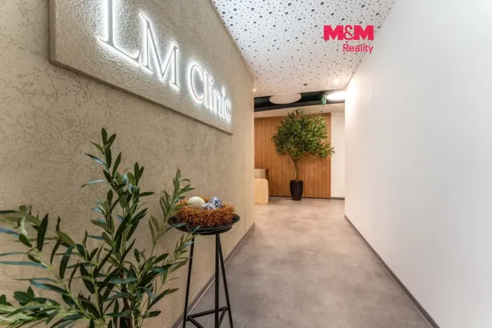 Pronájem komerční nemovitosti, Praha, Jihlavská, 25 m2