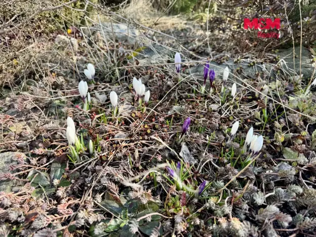 Prodej rodinného domu, Světnov, 273 m2