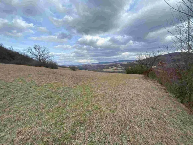 Prodej pole, Javorník, 1556 m2