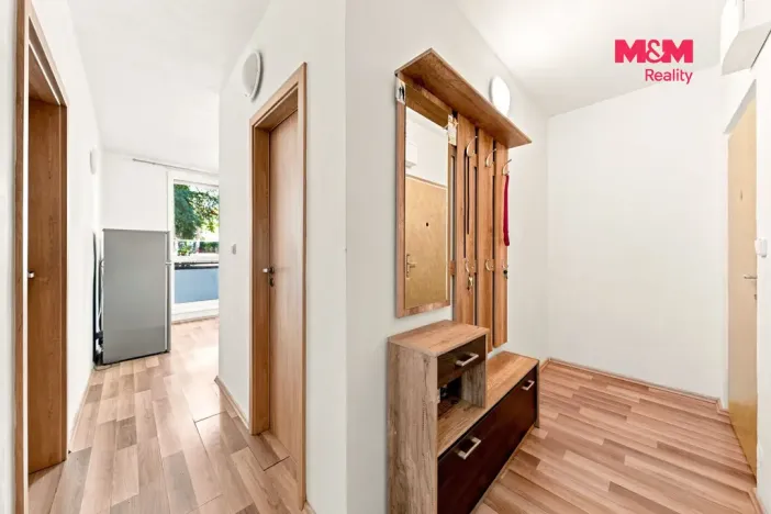 Prodej bytu 2+1, Brno - Žabovřesky, Luční, 50 m2