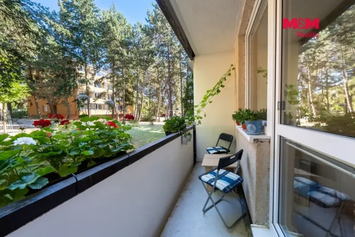 Prodej bytu 2+1, Brno - Žabovřesky, Luční, 50 m2