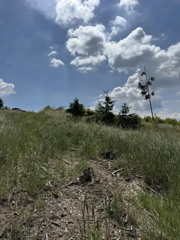 Prodej lesa, Chlum, 5098 m2