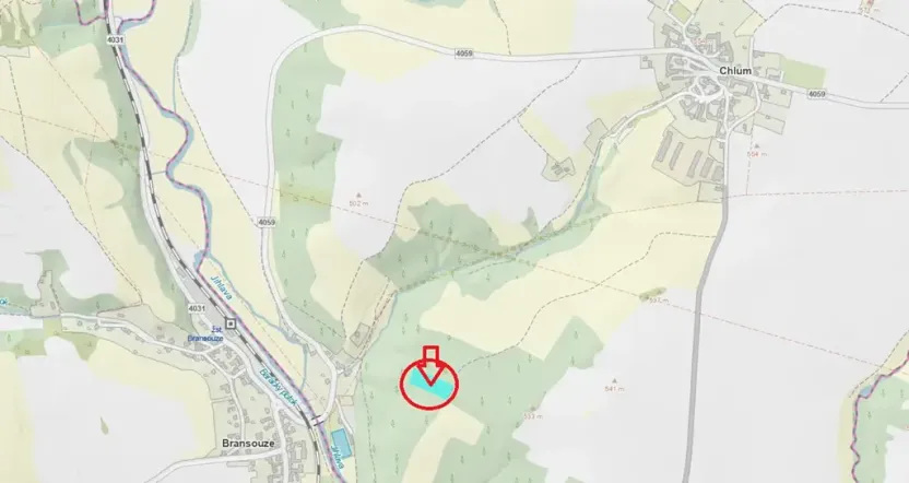 Prodej lesa, Chlum, 5098 m2
