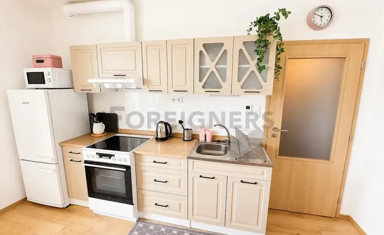 Pronájem bytu 1+kk, Plzeň, Stehlíkova, 39 m2