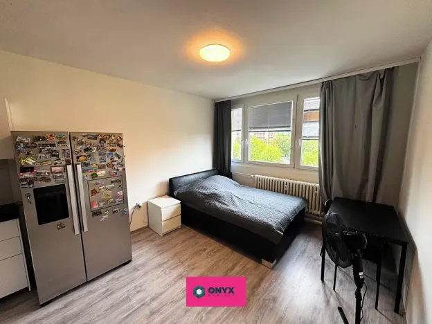 Prodej bytu 1+kk, Brno, Halasovo náměstí, 24 m2