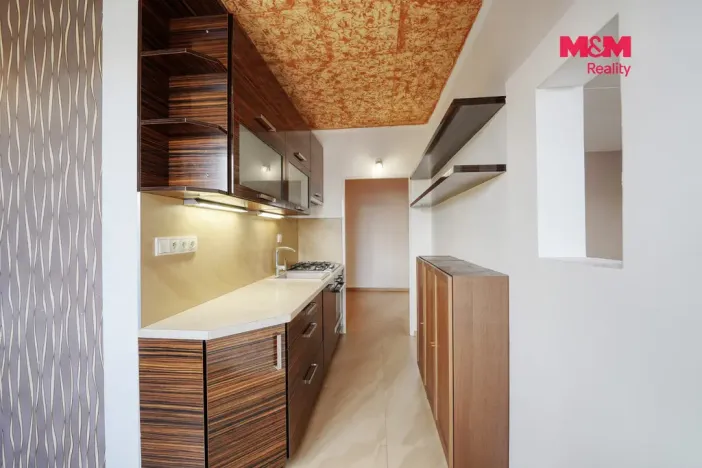 Prodej bytu 2+1, Plzeň - Severní Předměstí, Elišky Krásnohorské, 62 m2