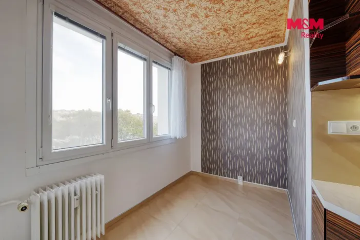 Prodej bytu 2+1, Plzeň - Severní Předměstí, Elišky Krásnohorské, 62 m2