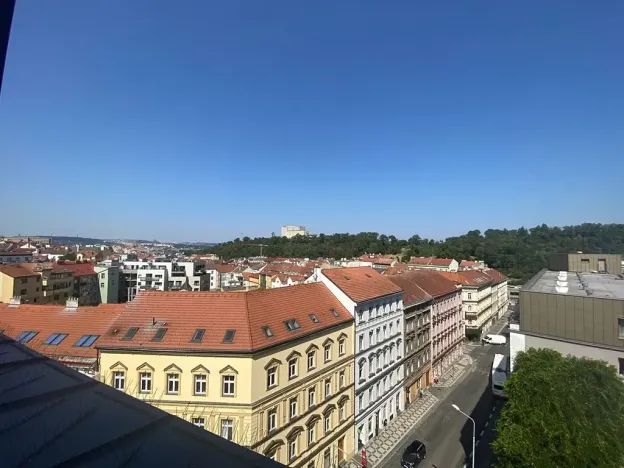 Pronájem bytu 4+kk, Praha - Žižkov, Sabinova, 120 m2