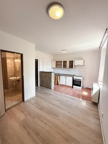 Pronájem bytu 1+kk, Český Brod, Želivského, 52 m2