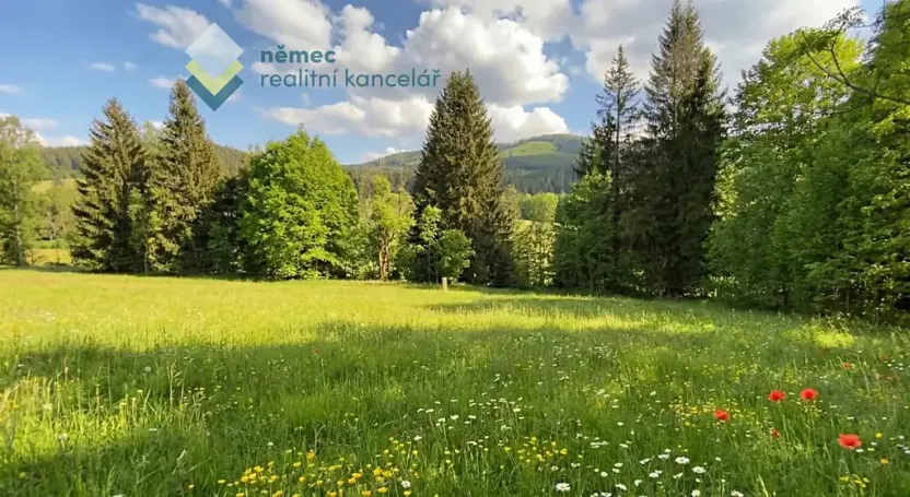 Prodej pozemku pro bydlení, Železná Ruda, 3475 m2