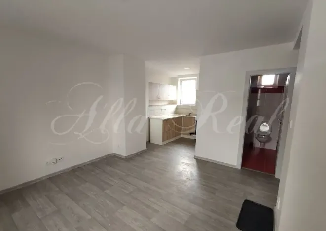 Pronájem bytu 1+kk, Malhostovice, 30 m2
